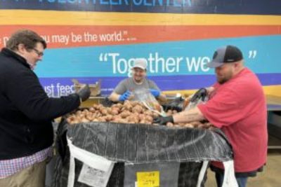 Potato sorting in volunteer center