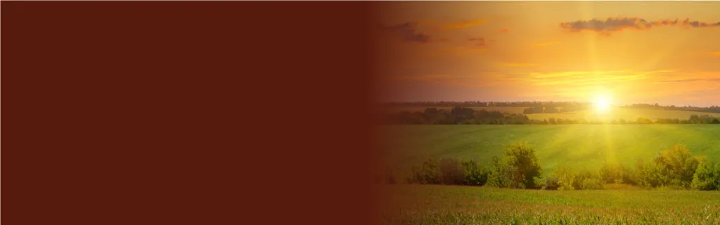 Were here web banner 2026